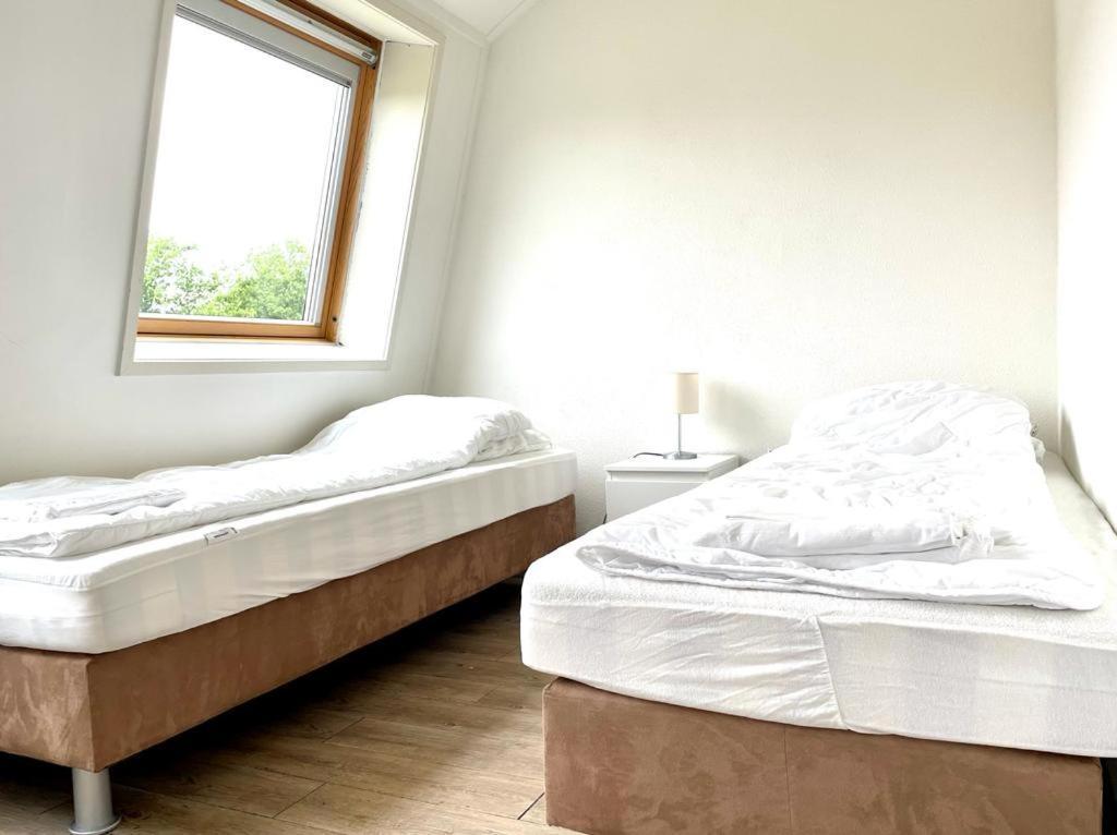 Vakantiehuis De Schelp